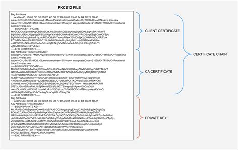 pfx) with <b>OpenSSL</b>. . Error outputting keys and certificates openssl pkcs12